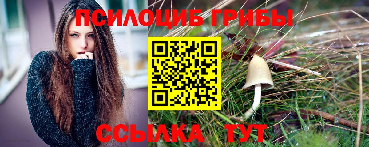 Одинцово  Галлюциногенные грибы GOLDEN TEACHER  Вход с VPN  Псилоцибиновые грибы Magic Shrooms 