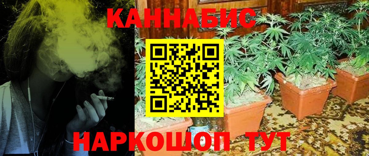 Каннабис Amnesia Одинцово